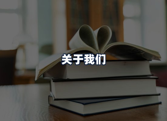 关于我们